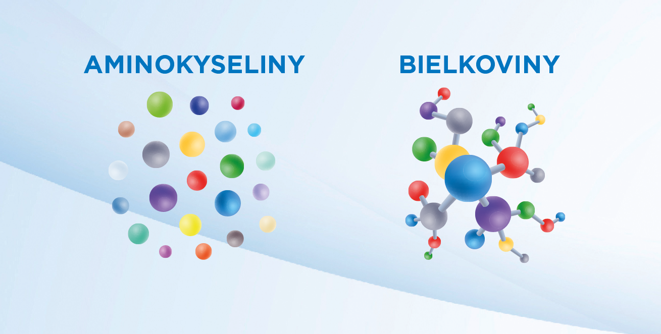 bilkoviny_minokyseliny