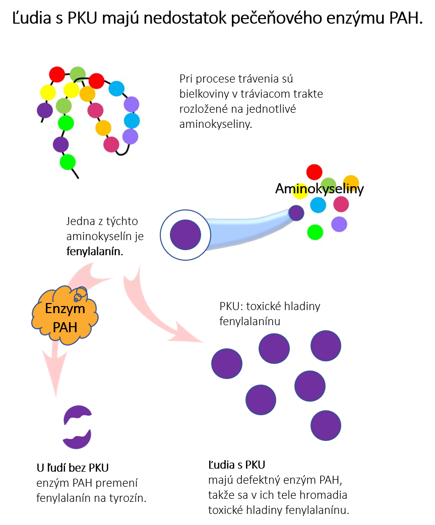 nedostatek jaterního enzymu PAH